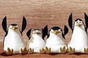 Madagascar Penguins