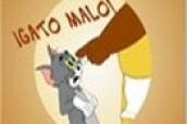 Tom & Jerry  oyunu