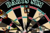 Pro Darts