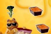 Garfield Food Rain oyunu