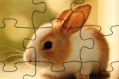 Bunny Jigsaw oyunu