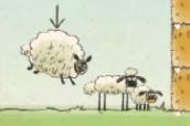 3 Sheeps