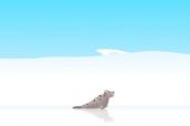 Ice Slide