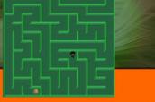 Maze Mania